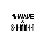 Summit & SWAVE Braces