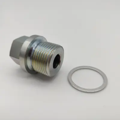 Product image of KAVS R53 Timing Chain Extended Tensioner Plug