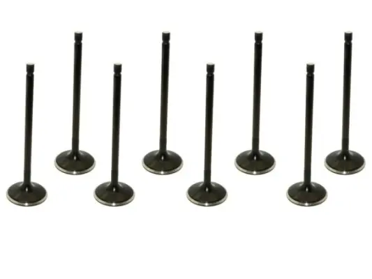 Product image of Supertech R56 N14 N18 Inlet Valves Black Nitride