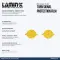 Lamin-x Turn Signal Covers Mini Cooper (01-06)