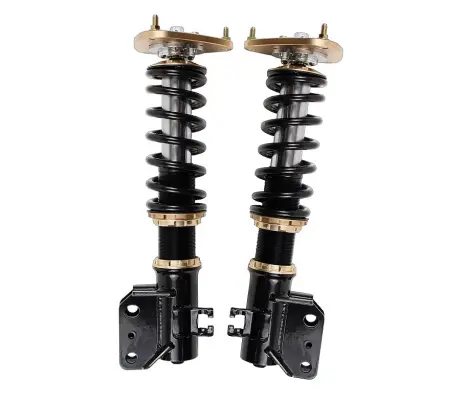 Product image of BC Racing RM Series Coilovers R53 R52 R50