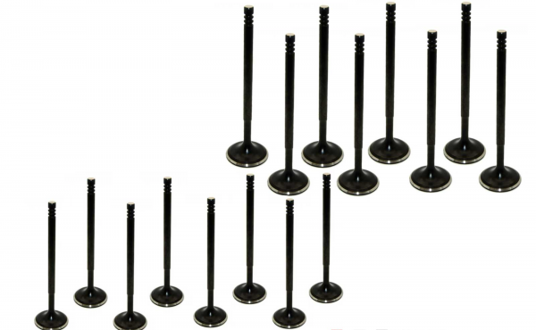 Supertech R53 Triple Groove +2.3mm Exhaust and +1.8mm Inlet Valves Black Nitride