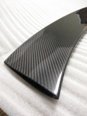 Orranje Carbon Fibre G-Wing Spoiler Blade